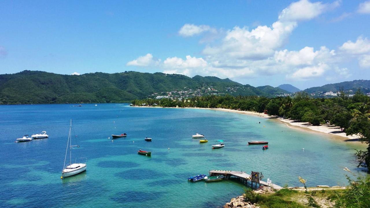 Studios Carribean Sea View Sainte-Anne Exterior foto