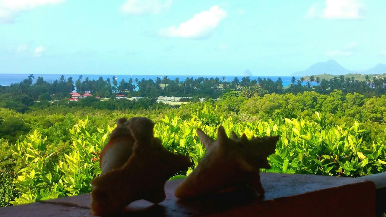 Studios Carribean Sea View Sainte-Anne Exterior foto